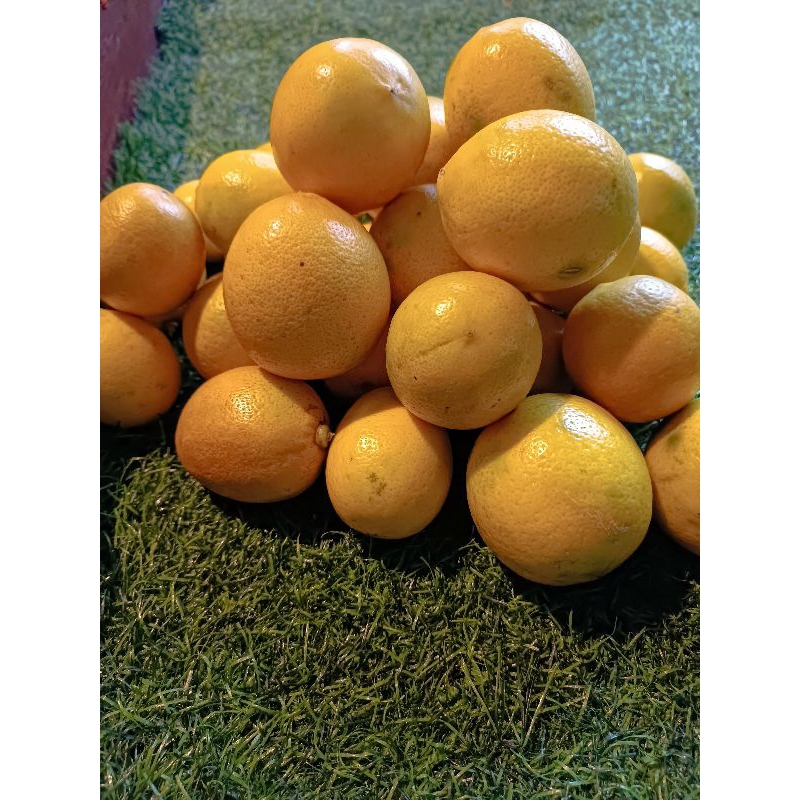 

LEMON CALIFORNIA