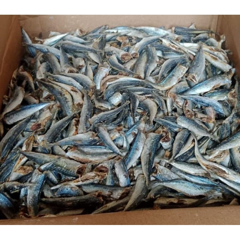 

Ikan Tamban Kering Fresh