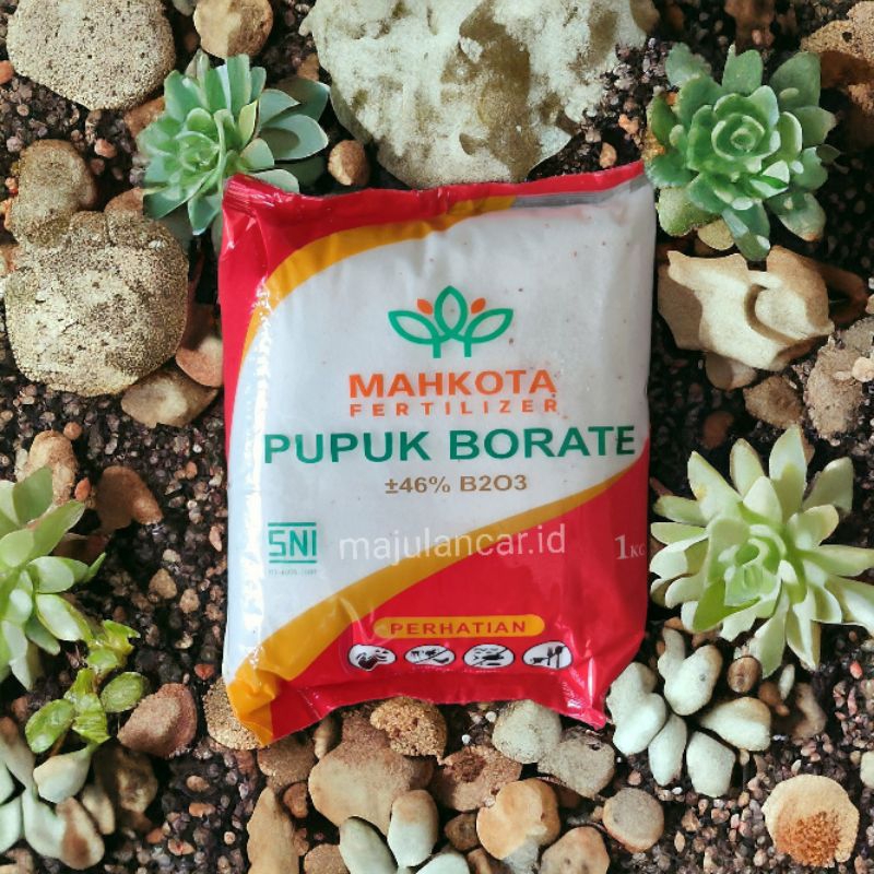 Pupuk Borate Mahkota