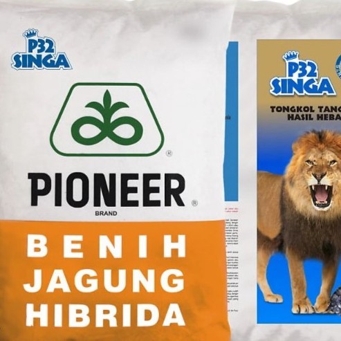 Bibit Jagung P32 5 Kg