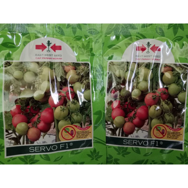 benih tomat servo F1 cap panah merah