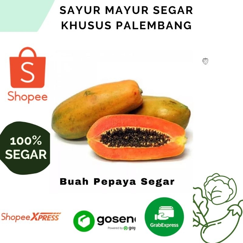 

1 Buah Pepaya Segar dan Sehat Palembang