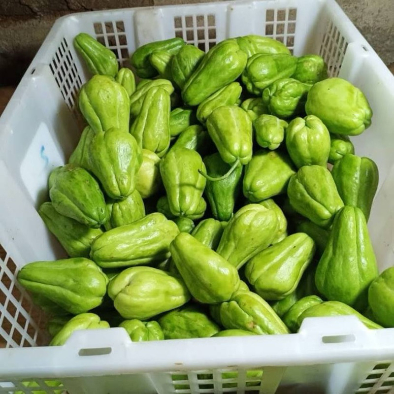 

Labu siam segar fresh distributor sayur buah bandung