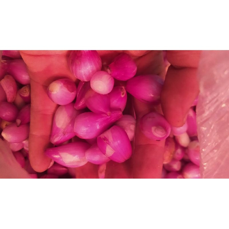 

BAWANG MERAH KUPAS , BAWANG MERAH SEGAR