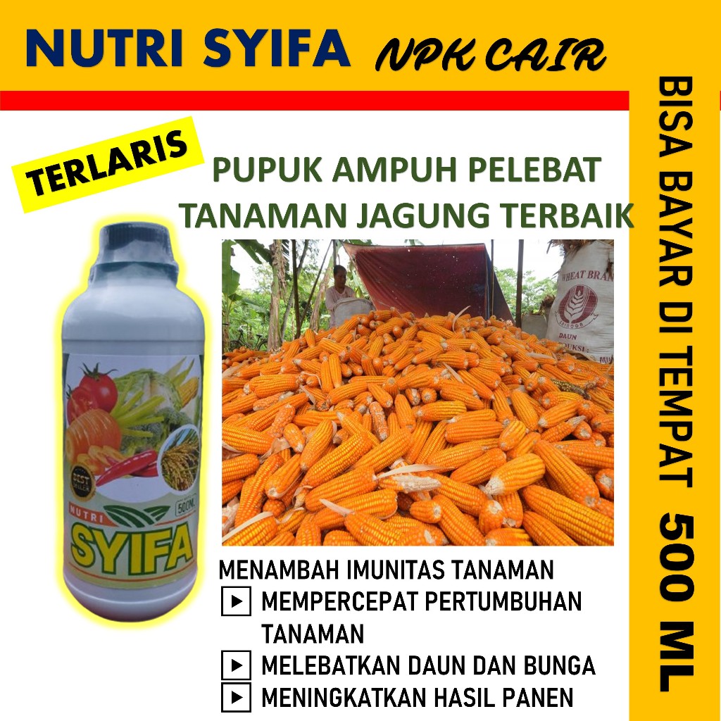 OBAT PELEBAT JAGUNG PALING AMPUH NUTRISYFA NPK CAIR PEMBESAR BUAH JAGUNG, Obat Jagung Biar Manis dan Besar, Sehat - Pupuk Semprot  Mempercepat Pembungaan Pada Tanaman Jagung - Obat Melebatkan Jagung Manis Paling Bagus isi 500 ML