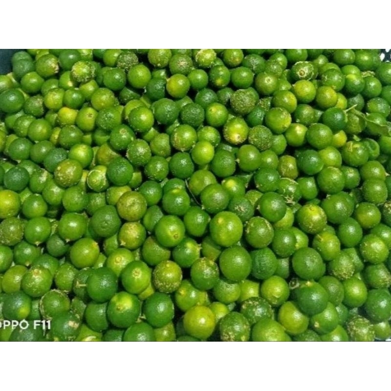 

JERUK SONKIT 250G / JERUK LEMON CUI / JERUK SONKIT KALIMANTAN