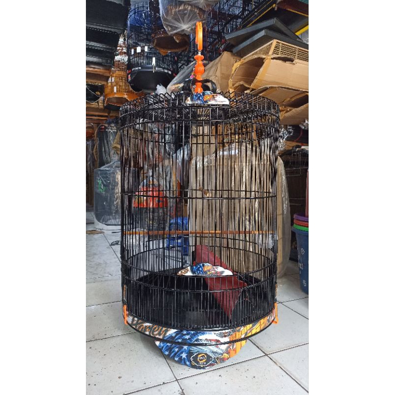 KANDANG MURAI EBOD JAYA DECAL BAMBU No.2