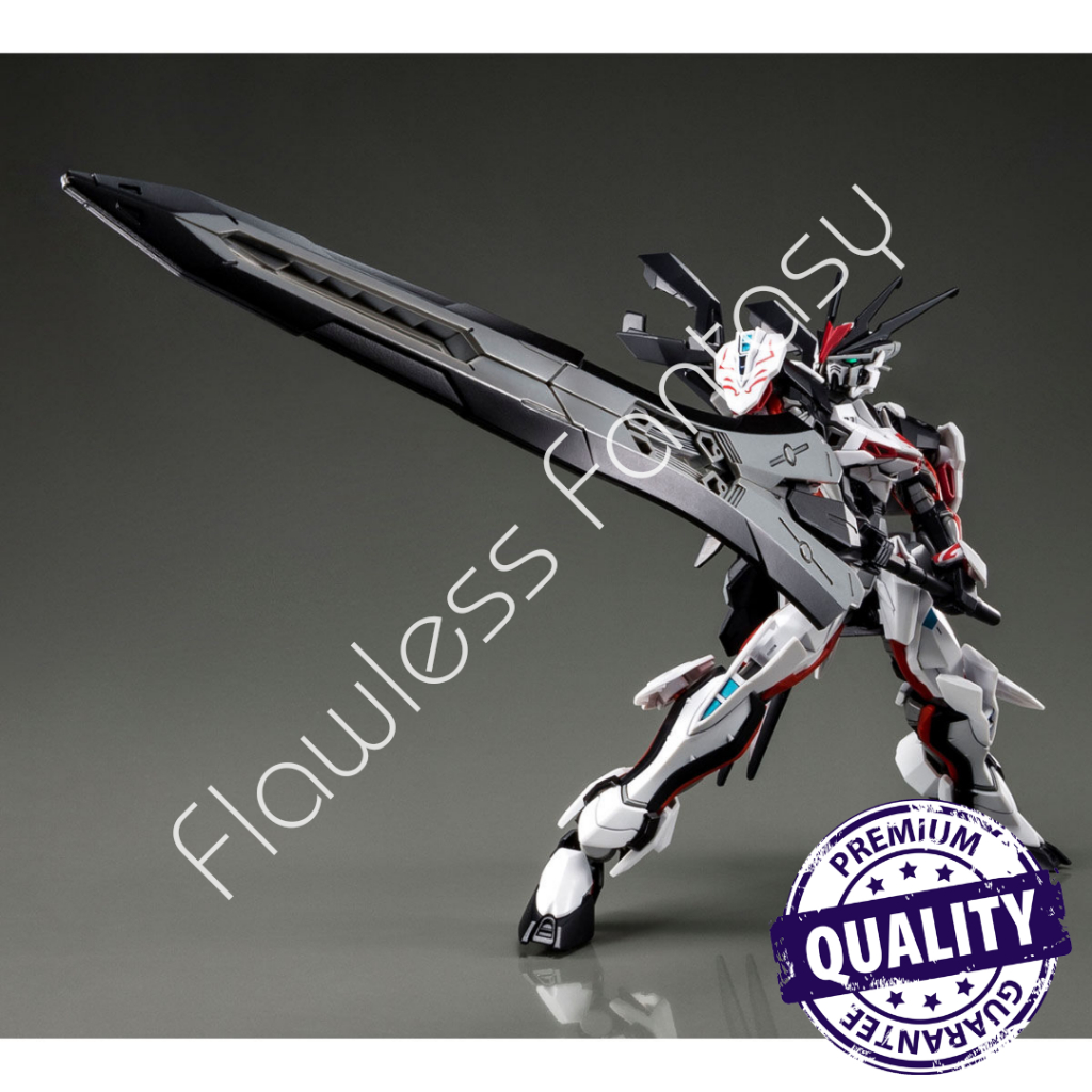 HG 1/144 Load Lord Astray Omega