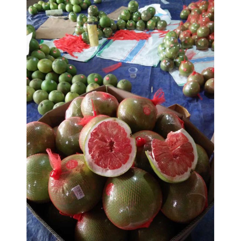

JERUK PAMELO MADU 25 Kg JERUK BALI ORIGINAL JAPAN MURIA KUDUS JATENG
