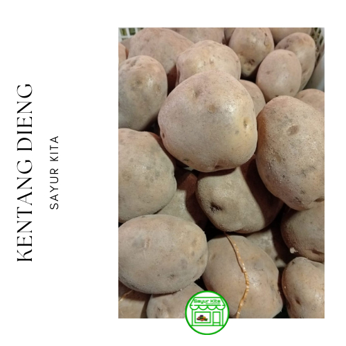 

Kentang Dieng 1 kg (Ab)