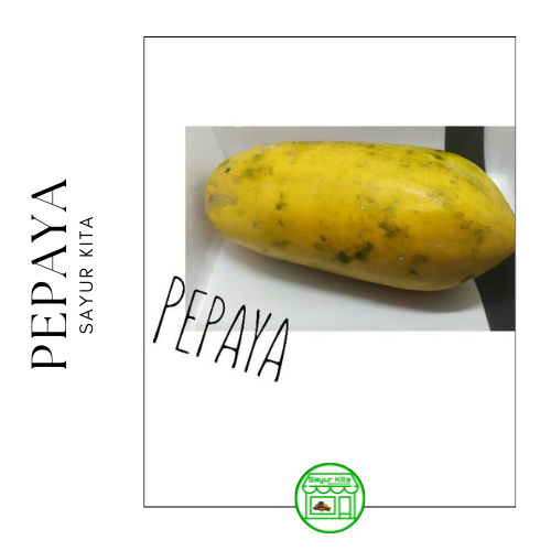 

Pepaya 1 buah (1kg-1,2kg)