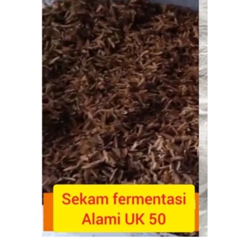 sekam fermentasi/sekam lapuk 1 karung UK 50