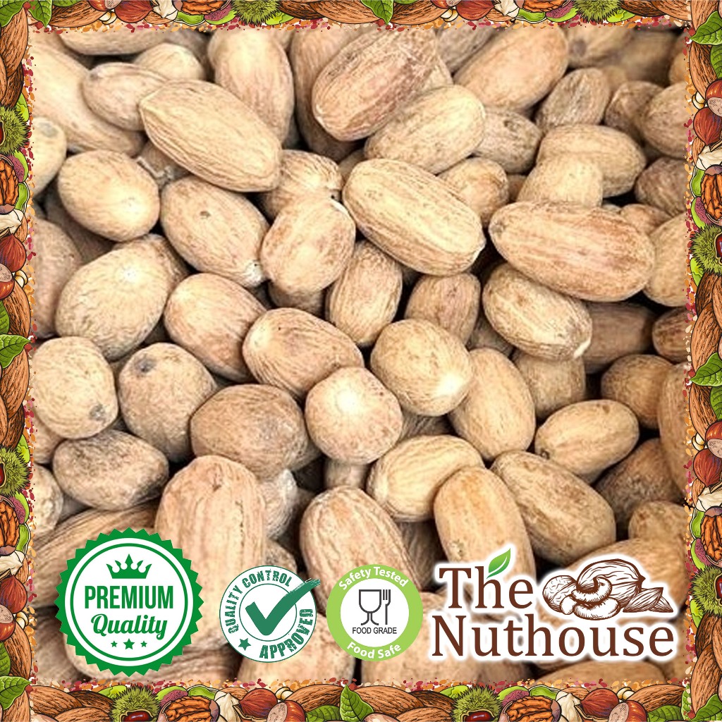 

100gr Whole Peeled Nutmeg Oval / Pala Kupas Lonjong Utuh