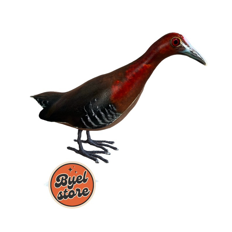 Jontrot Burung Sintar Api - Patung Decoy Burung Sintar Merah - Sintar Medan