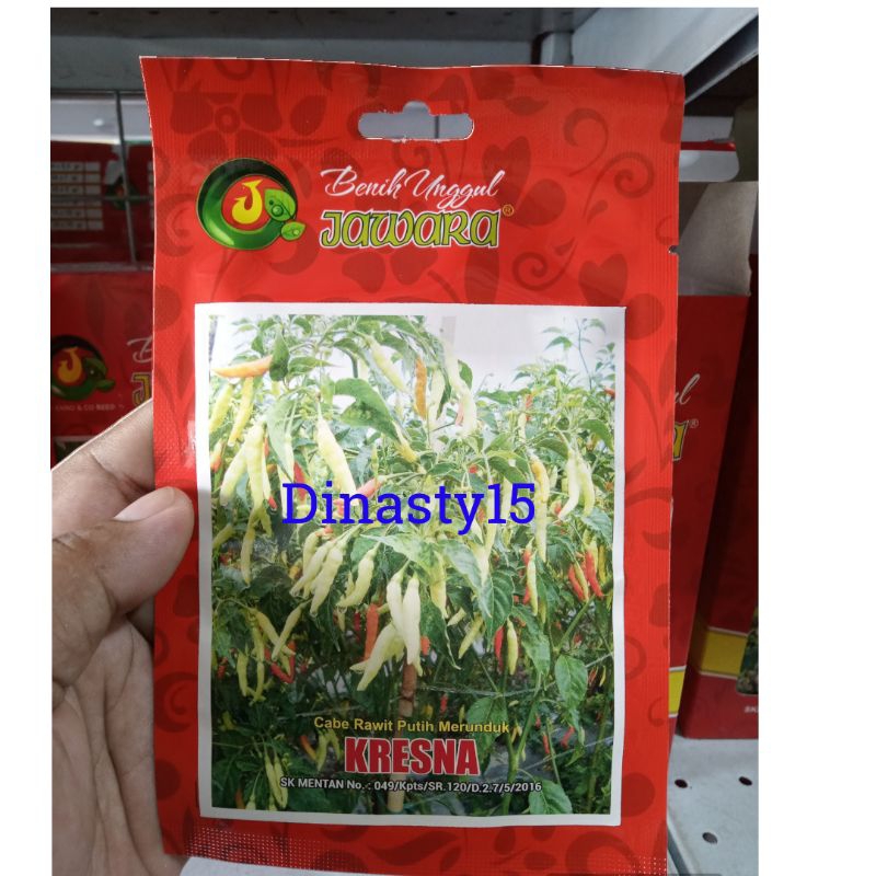 Benih Cabe Rawit Putih KRESNA 10gram Benih Cabe Rawit Bibit Cabe Rawit Putih
