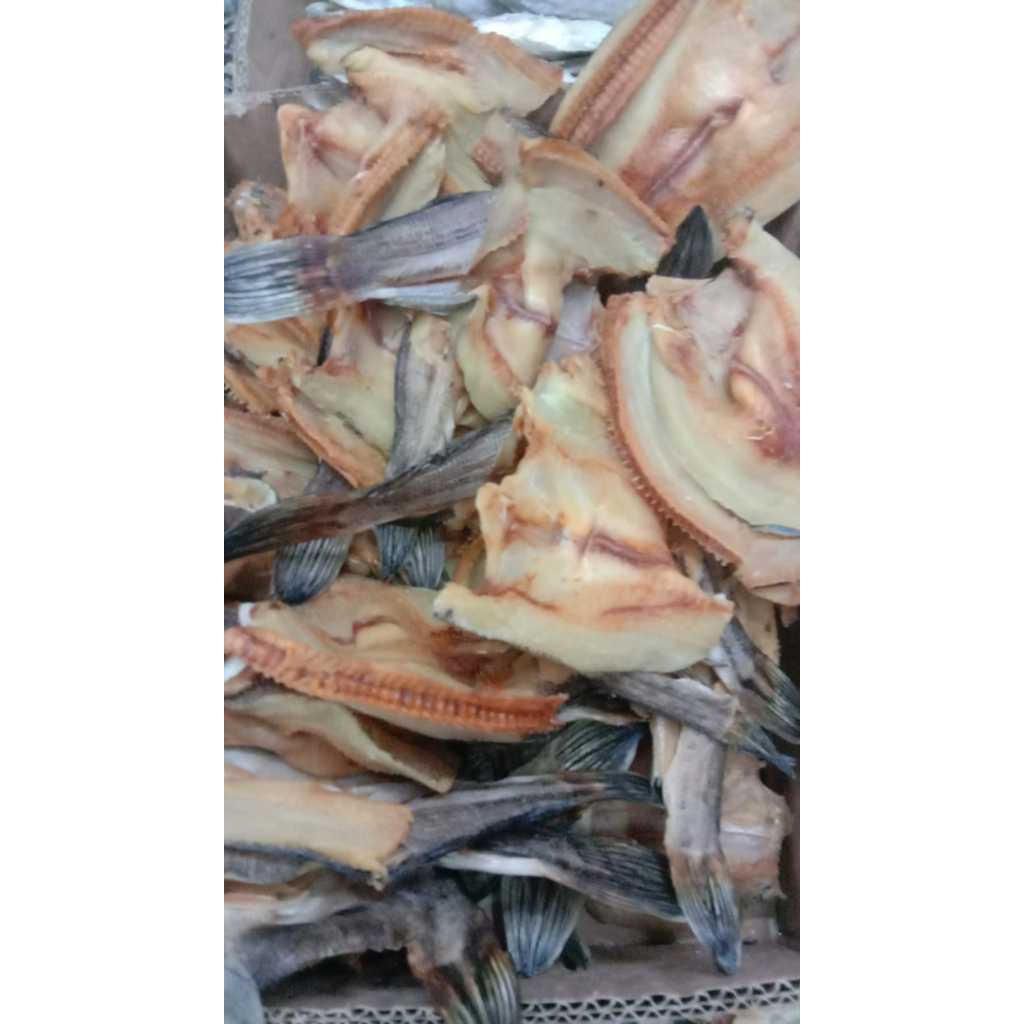 

Ikan Gabus Tanggung - 250gram