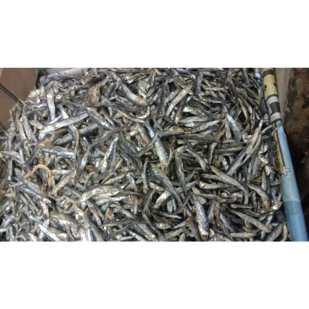 

Teri Batu - 500gram