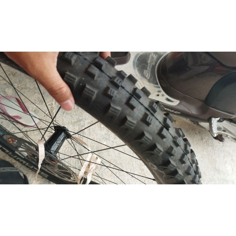 ban schwalbe magic mary 27.5