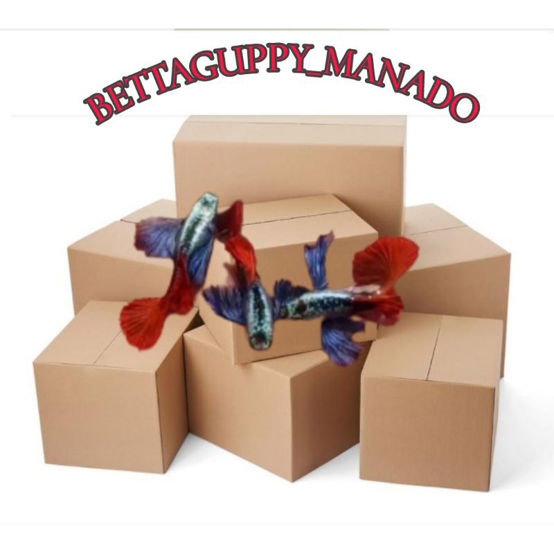 PAKET VITAMIN PRTDE & PRTDE KOI