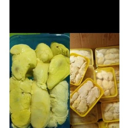 

paket usaha durian