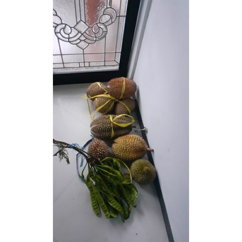 

BUAH DURIAN ASLI LOKAL