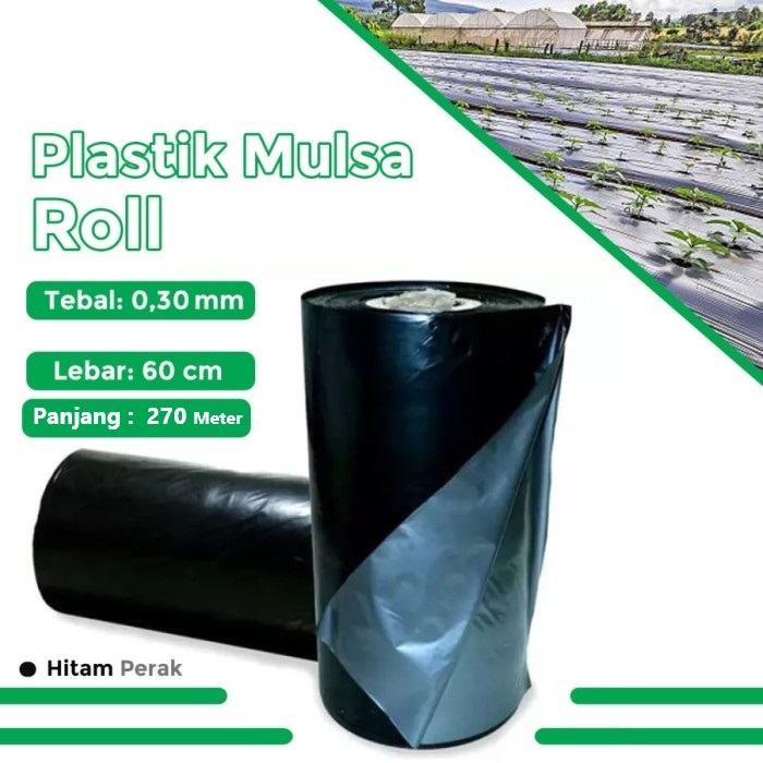 1 Roll Plastik Mulsa Lebar 120 Cm - Mulsa Curah Murah 1 Roll Panjang 270 Meter