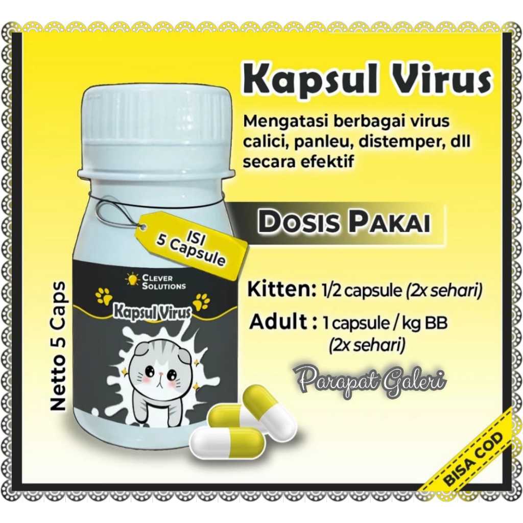 Kapsul Virus Obat Virus Panleukopenia Distamper Calici Obat Virus Ampuh Kucing