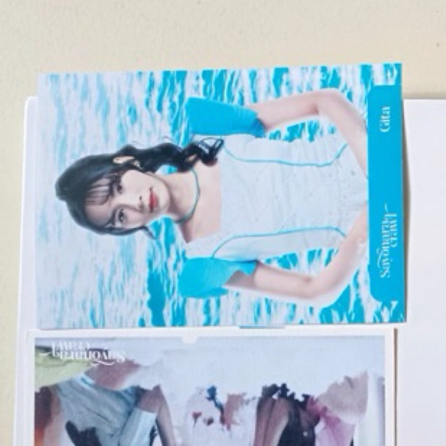 PP Sayonara Crawl Gita