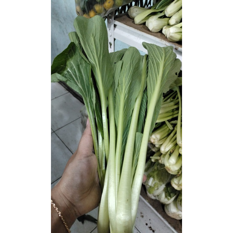 

sawi hijau segar 500 g