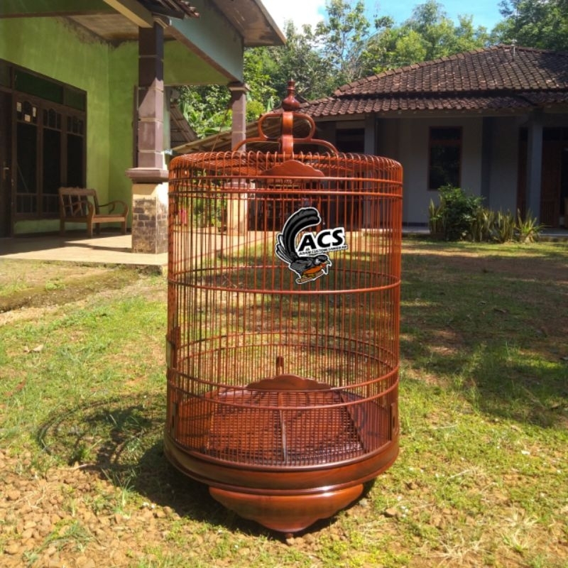 Sangkar Murai Batu Polos Harian Sangkar Kayu Jati Harian