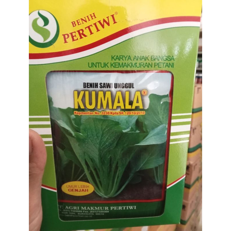sawi Kumala benih pertiwi