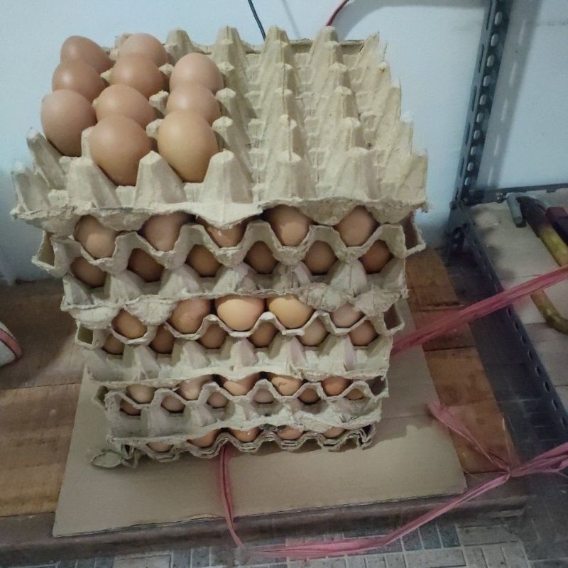 

Telor Ayam Negeri - per kilo