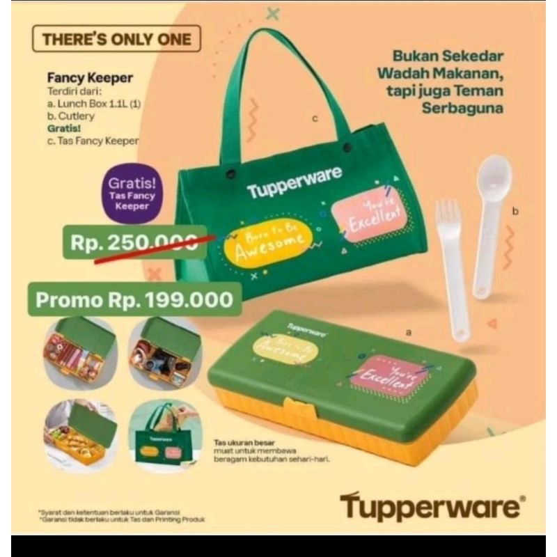 fancy keeper/lunch box