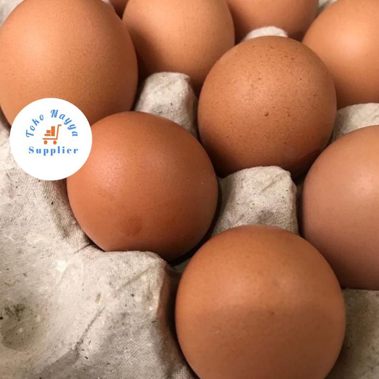 

Jaminan Kualitas Telur Telor Ayam Negeri Fresh