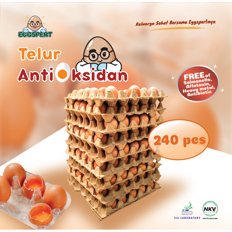 

Eggspert Telur Ayam Antioksidan (Organik Selenium) Kemasan Isi 240 pcs