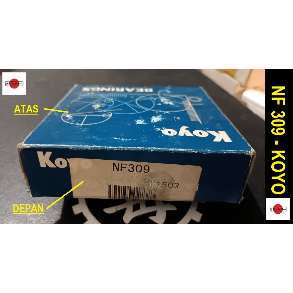 Bearing - NF 309 (open)