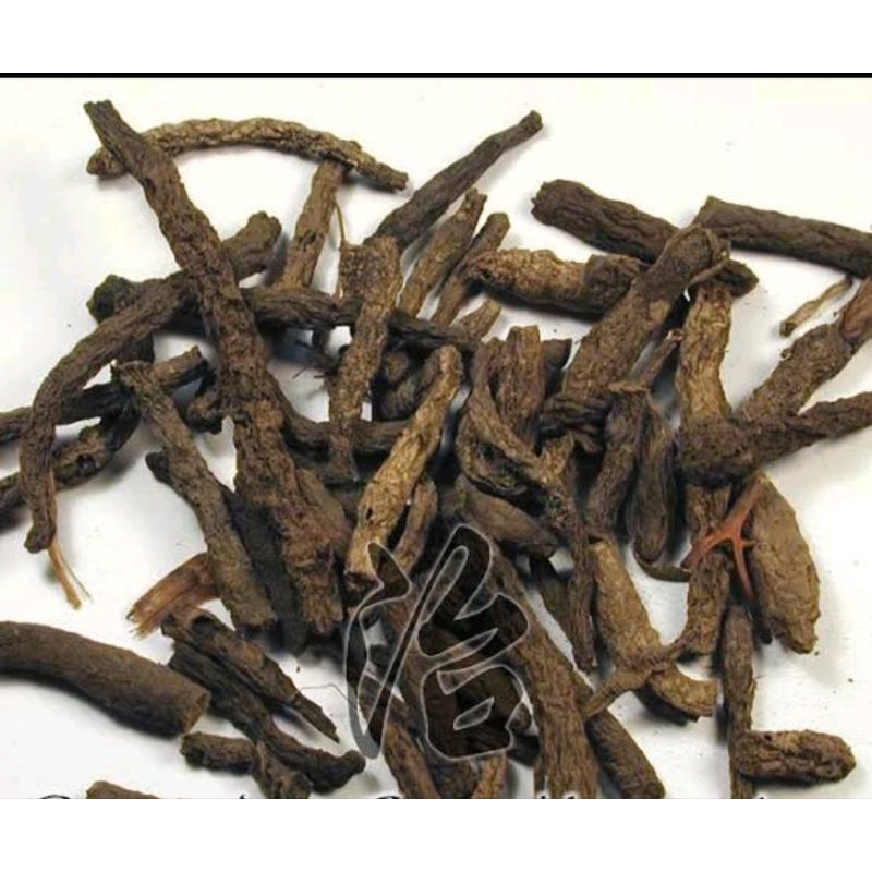 

10 G 50 GR 100 GRAM 天仙茅 TIAN XIAN MAO GOLDEN EYE GRASS CURCULIGO RHIZOME RHIZOMA CURCULIGINIS