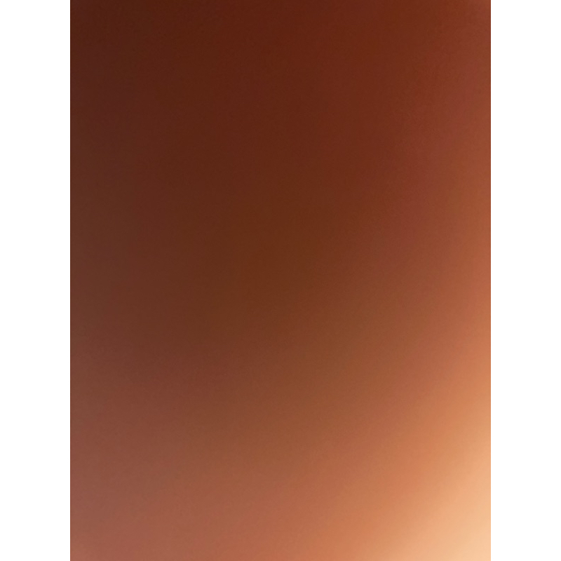 Diesel x Dolores Twt