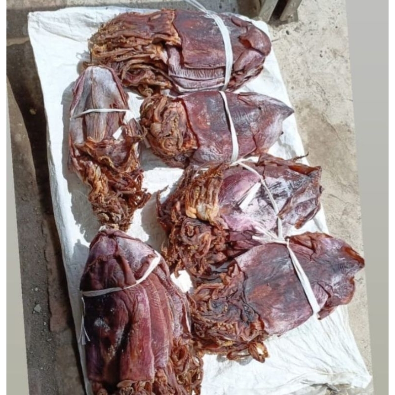 CUMI KERING / SOTONG KERING /JUHI
