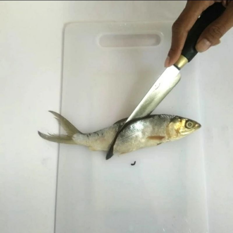 pisau dapur tajam bahan gergaji