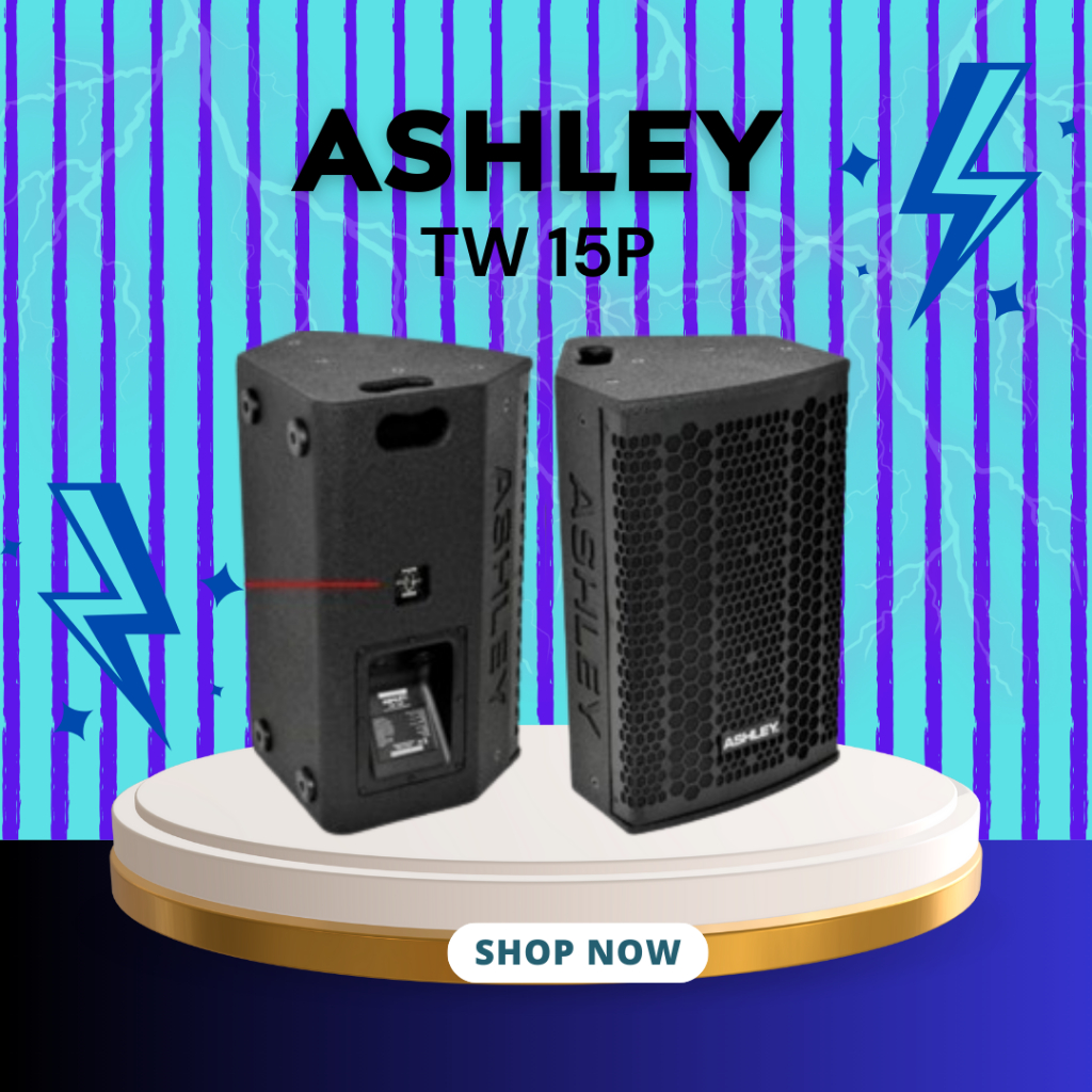 SPEAKER PASIF ASHLEY TW 15P / TW 15 P / TW-15P 15 INCH FULL RANGE GARANSI RESMI ASHLEY