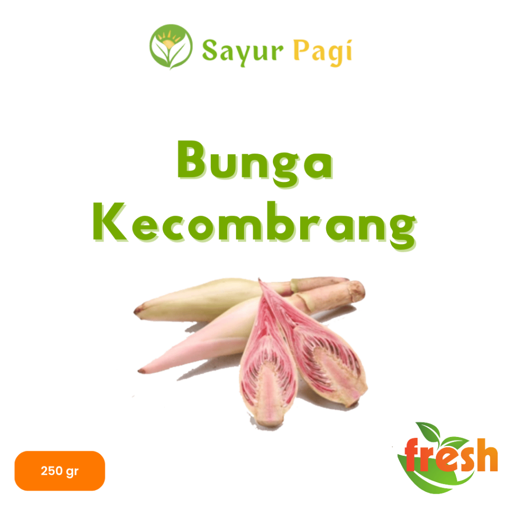 

Sayur Segar Bunga Kecombrang - Sayur Pagi Online