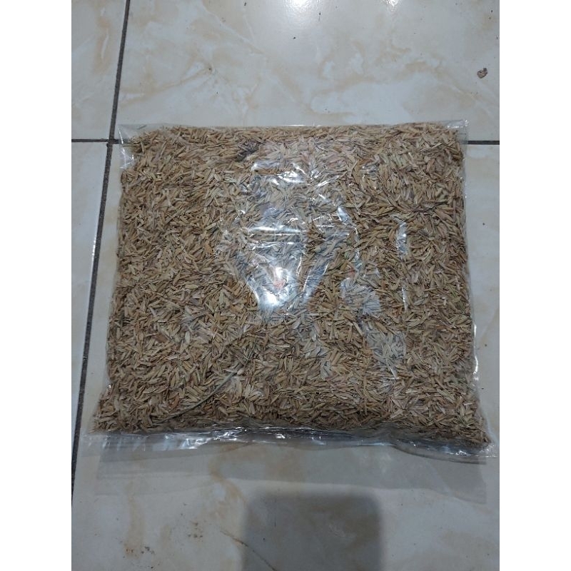 SEKAM PADI / GABAH PADI BISA DIGUNAKAN UNTUK ALAS KANDANG HAMSTER, MARMUT, KELINCI DAN TANAMAN HIAS