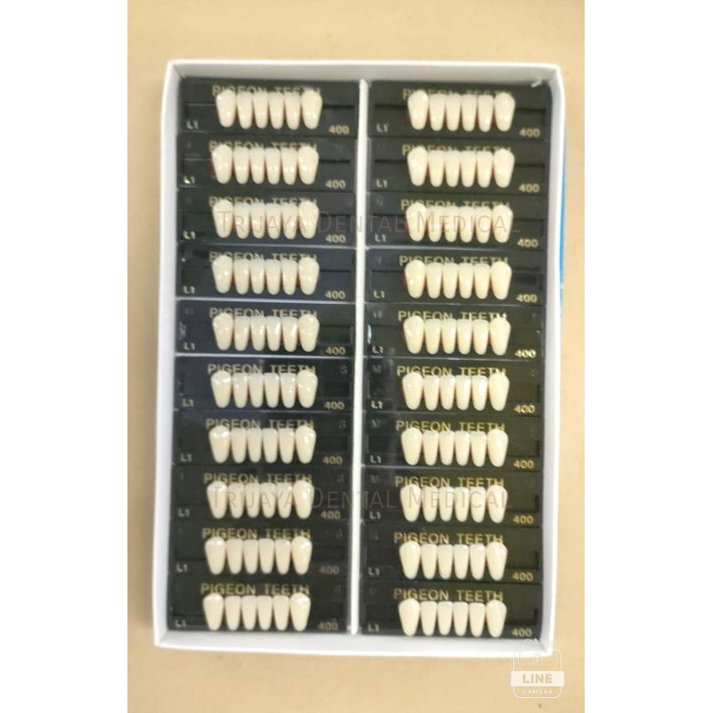 Trijaya Dental Medical Anasir Gigi Tiruan Akrilik Pigeon ecer/ Gigi Palsu Akrilik