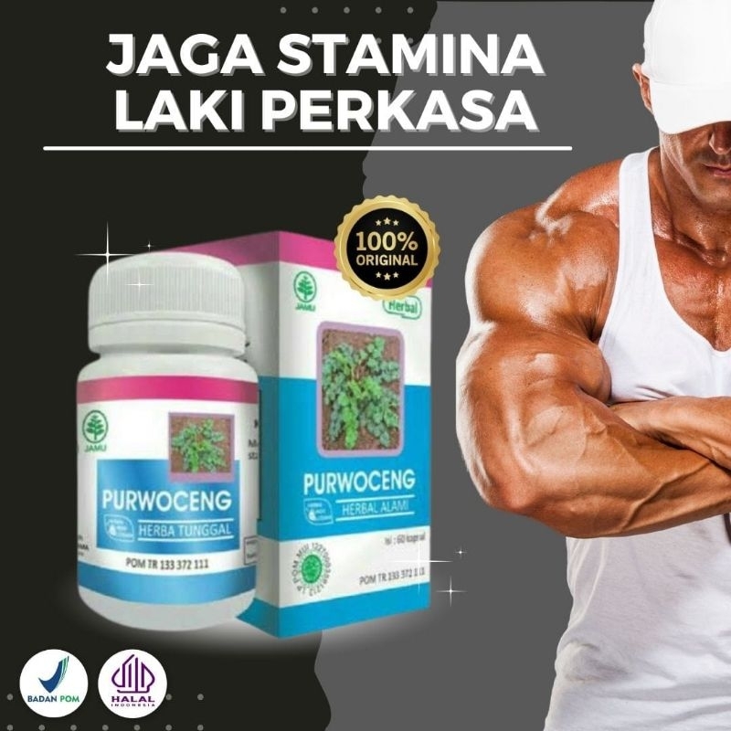 KAPSUL PURWOCENG ORIGINAL HERBAL ALAMI MENAMBAH STAMINA PRIA