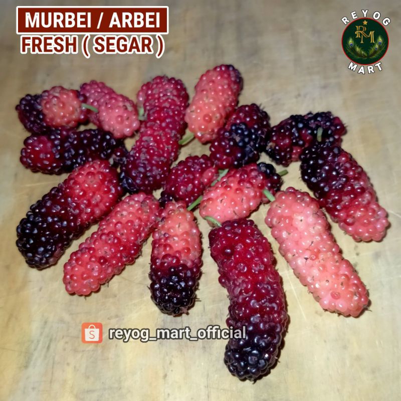 

BUAH MURBEI / ARBEI FRESH SEGAR MATANG MERAH HITAM LANGSUNG PETIK SIAP KIRIM