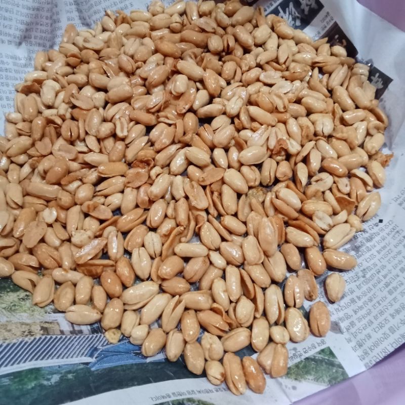 

kacang bawang premium termurah 16000