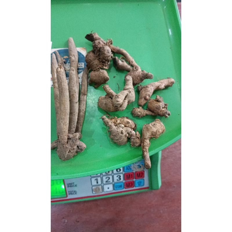 

Temukunci segar 500gr