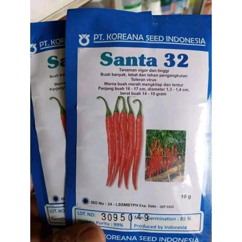 Benih bibit Cabe merah keriting SANTA 32 F1 10 gram (ORIGINAL)