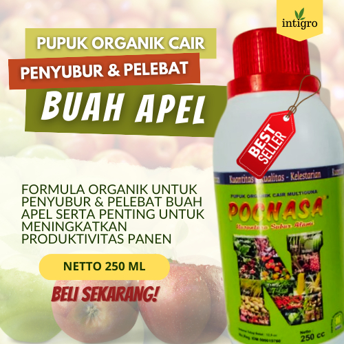 Pupuk Apel Cepat Berbuah / Pupuk Apel Fuji / Pupuk Pelebat Buah Apel / Pupuk Buah Apel / Pupuk Boost